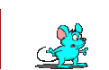 Suprová myš