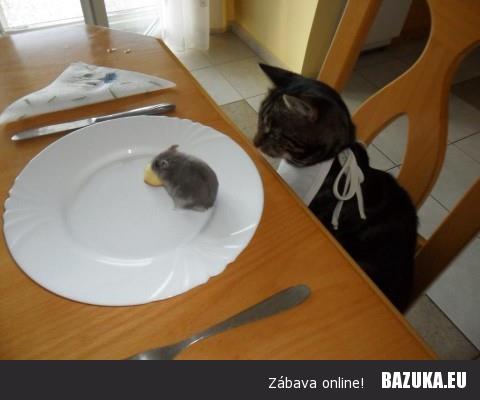 Čas oběda