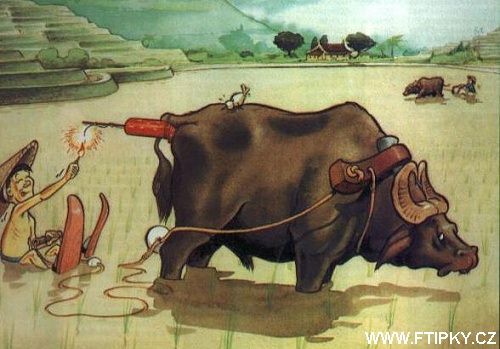 Čínské vodní lyžování