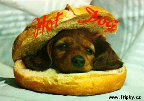 Další opravdový hotdog