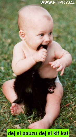 Dej si pauzu dej si kit kat