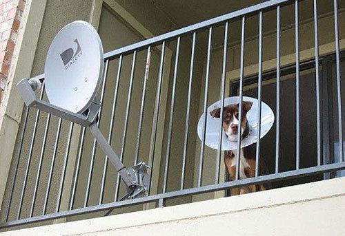 Dva satelity?