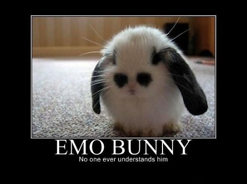 Emo králíček