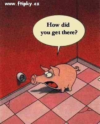 Jak ses tam dostal?