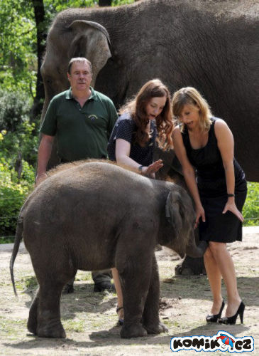 Jaká hrůza v očích, nebo že by radost