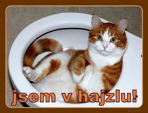 Jednoznačná diagnóza