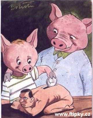 Kasička pro prasátka