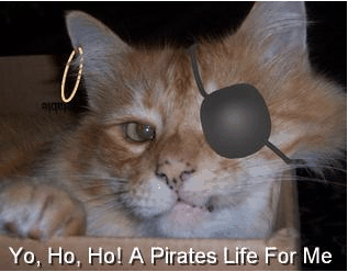 Kočka pirát