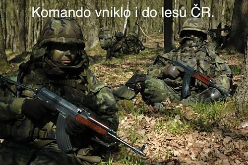 Komando vniklo i do lesů ČR