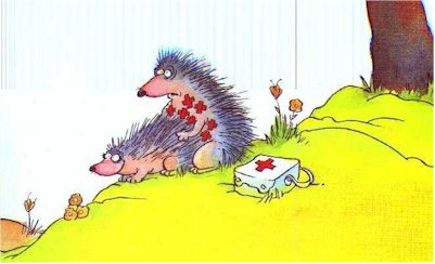 Lékarnička bude potřeba