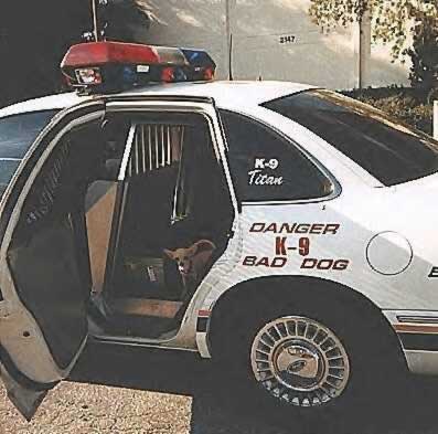 Nebezpečný zločinec