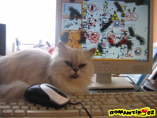 Počítačový maniak