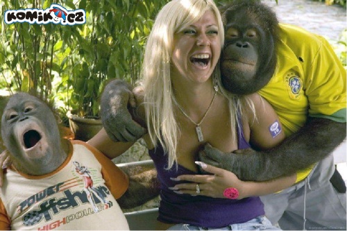 Pózování s opičkama
