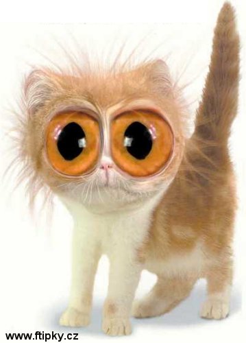 Příliš mnoho kofeinu