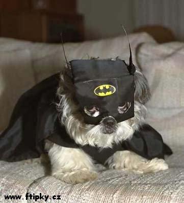 Psí Batman