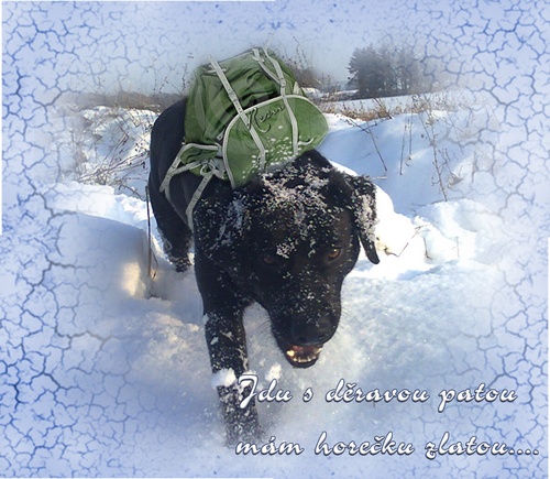 Severní vítr je krutý...