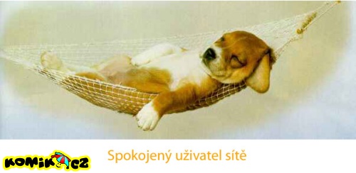 Spokojený uživatel sítě