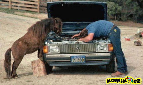 Tak čímpak to asi bude?