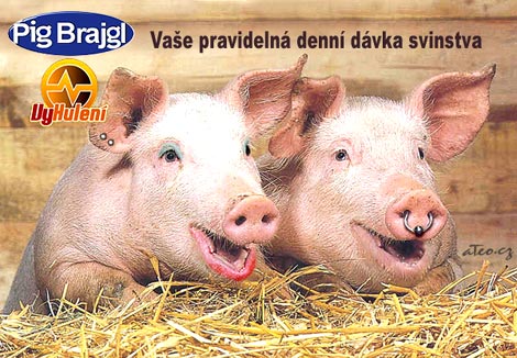 Tak co, taky čumíš?