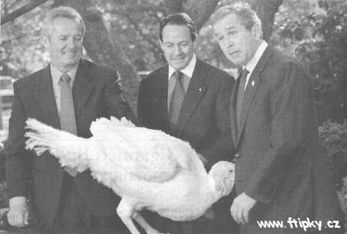 Talibanský krocan útočí !!