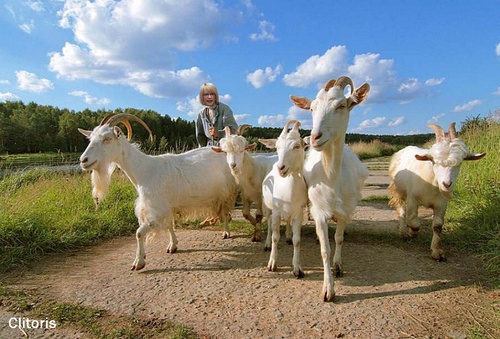 Tedy, ta Kočí má fakt hezký kozy...!!