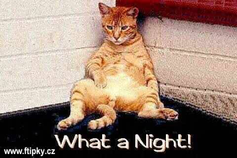 To byla ale noc !!