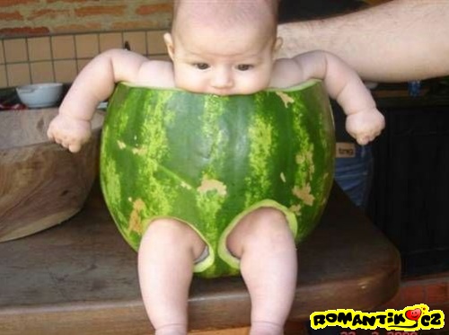 Trenky - model léto 2008