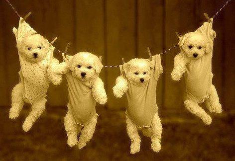 Už jste pověsili prádlo?