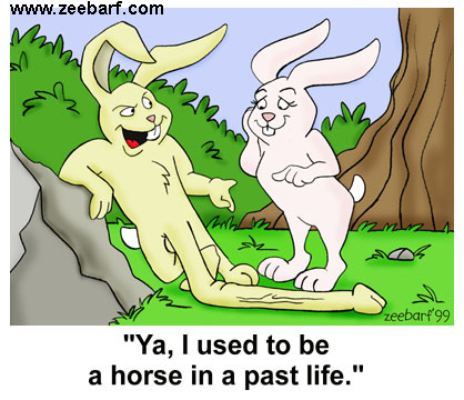 V minulém životě jsem byl kůň