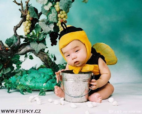 Včelka Mája po flámu