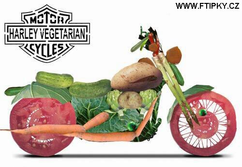 Vegetariánský harley