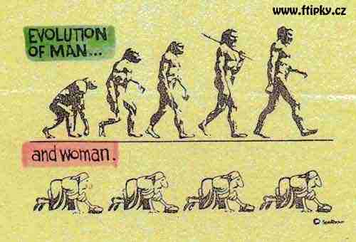 Vývoj muže a ženy