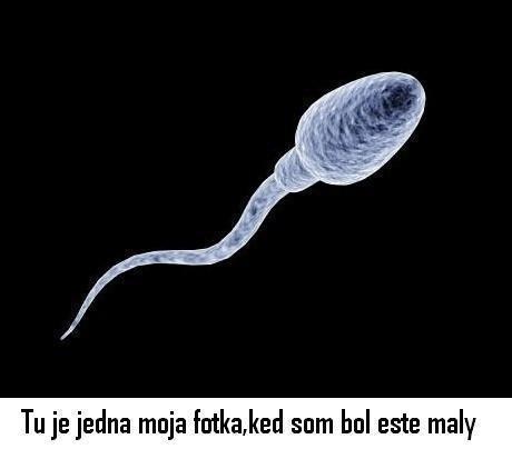 Z dětství