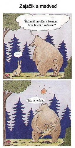 Zajíc a medvěd